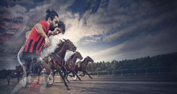 atg-kollage-hast-sport-casino-2