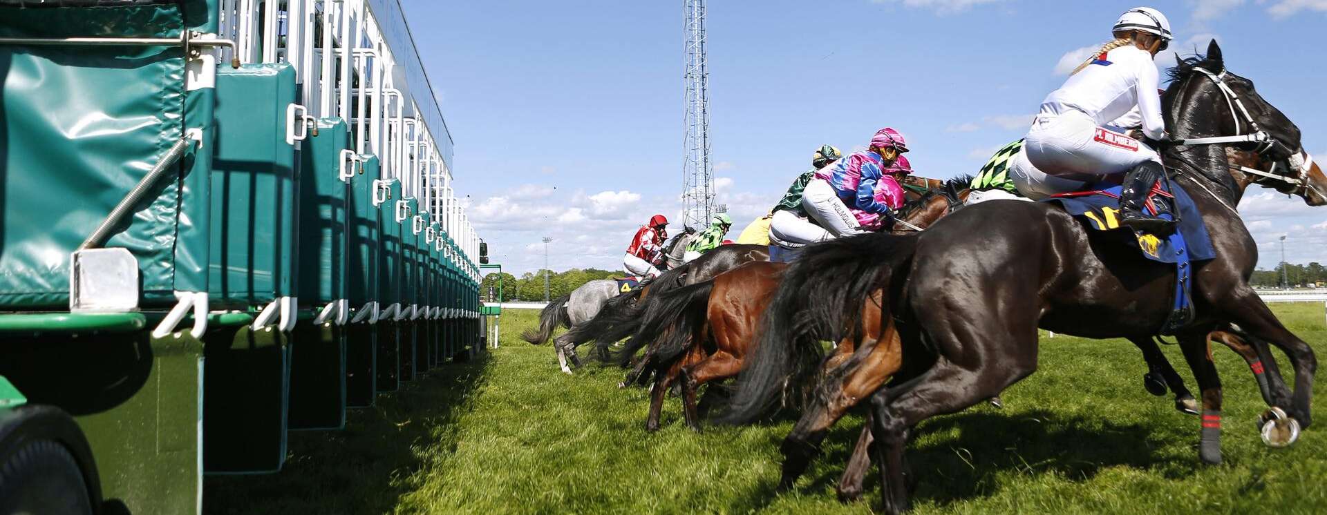 framat-action-mot-nya-mal-foto-maria-holmen