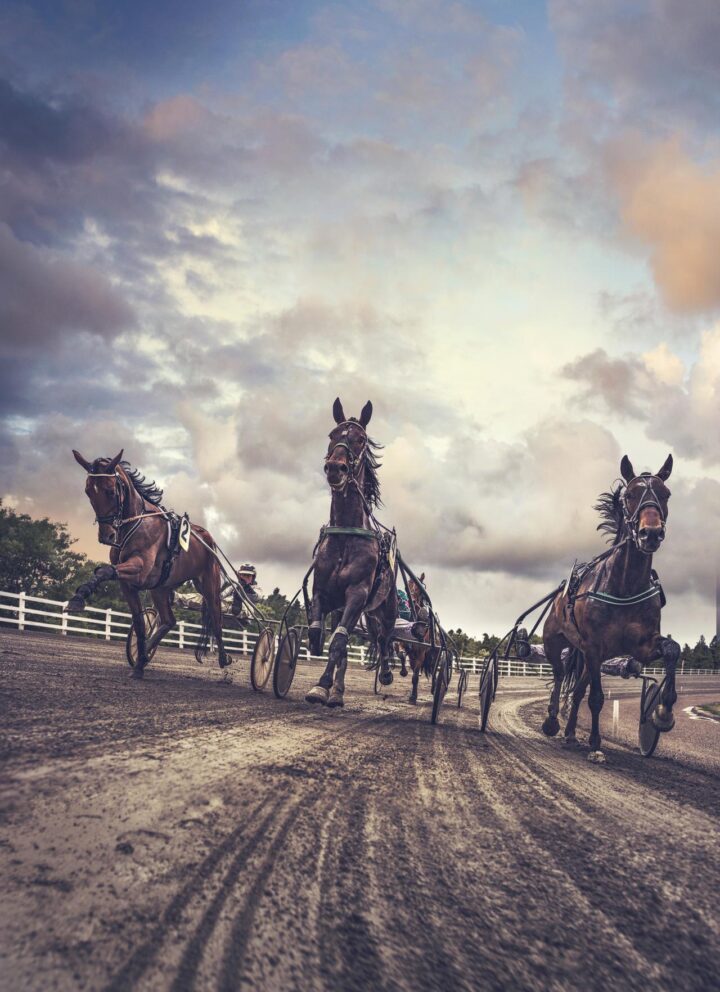 ATG_hast_ACB0062_TB_R